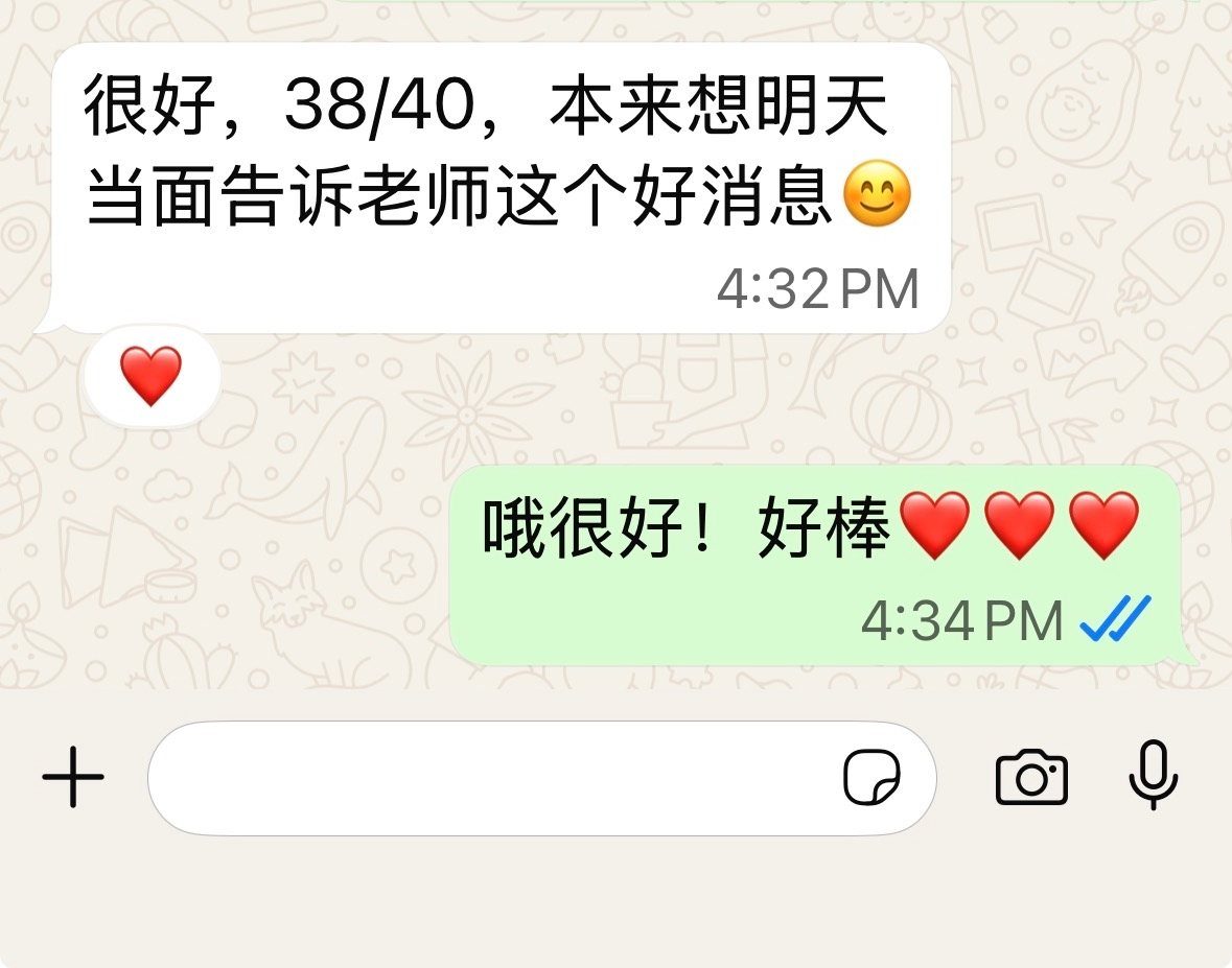 A Primary 6 parent's WhatsApp review, personal details redacted